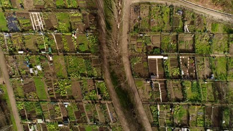 Landwirtschaftliche-Felder-Der-Gemeinschaft-In-Der-Stadt,-Draufsicht