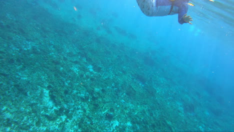 Turista-Comenzando-Su-Esnórquel-Y-Buceo-En-La-Transición-Del-Mar-Azul-Profundo-Bajo-El-Agua-|-Esnórquel-Y-Buceo-Bajo-El-Agua-En-El-Fondo-De-Video-Marino