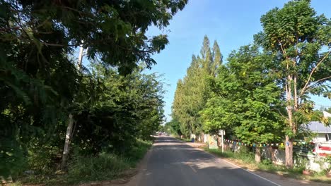 a peaceful journey along a rural road lined with greenery