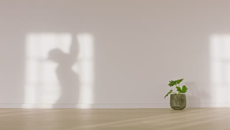 shadow on wall yoga woman practicing meditation enjoying fitness lifestyle exercising in studio training mindfulness at sunrise copy space