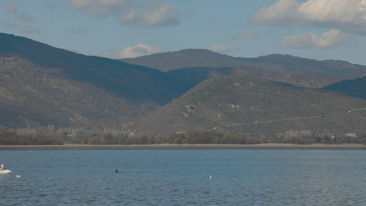 экзотический пейзаж острова, горы гавайев, голубой океан, дикие птицы, белый пеликан и чайка, статический кадр, 4k видео