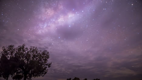 timelapse de las estrellas de la vía láctea de nuestra galaxia que incluye nuestro sistema solar en el interior de australia por la noche con árboles y arena roja un timelapse en movimiento