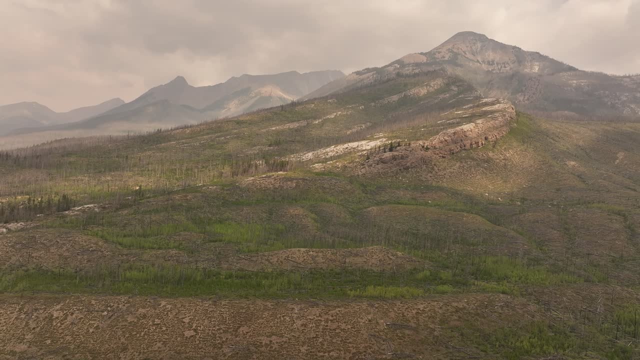 Veduta aerea del fumo di un incendio boschivo che si diffonde sulla nuova vegetazione in una zona di vecchio incendio forestale del Monte