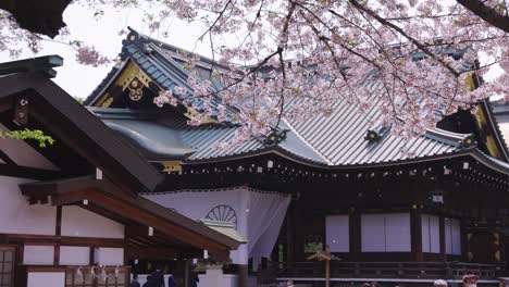 Santuario-Yasukuni-En-Primavera,-Pétalos-De-Sakura-Caen-Sobre-Una-Ubicación-Histórica-En-Japón