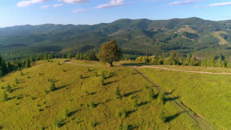 person among green scenery. panoramic view of green nature in the mountains. musician on the green hill in summer. aerial view.