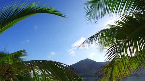 Beautiful-palm-leaves-at-shiny-sunrise-with-bright-blue-sky-and-glowing-clouds-background-on-white-sandy-exotic-beach-in-Vietnam