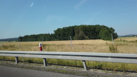 view-from-the-side-car-window