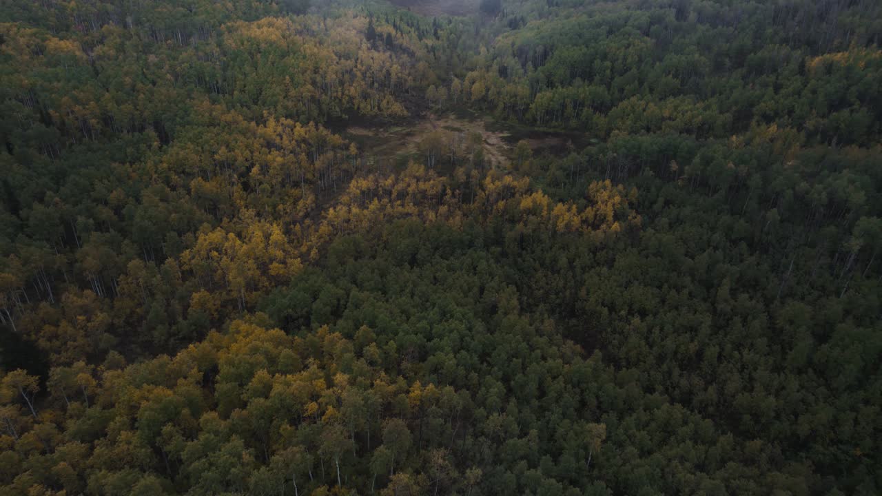 bucle alpino, bosque de otoño y montañas cubiertas de nieve