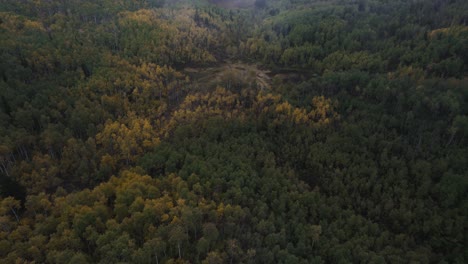 Alpenschleife,-Herbstwald-Und-Schneebedeckte-Berge