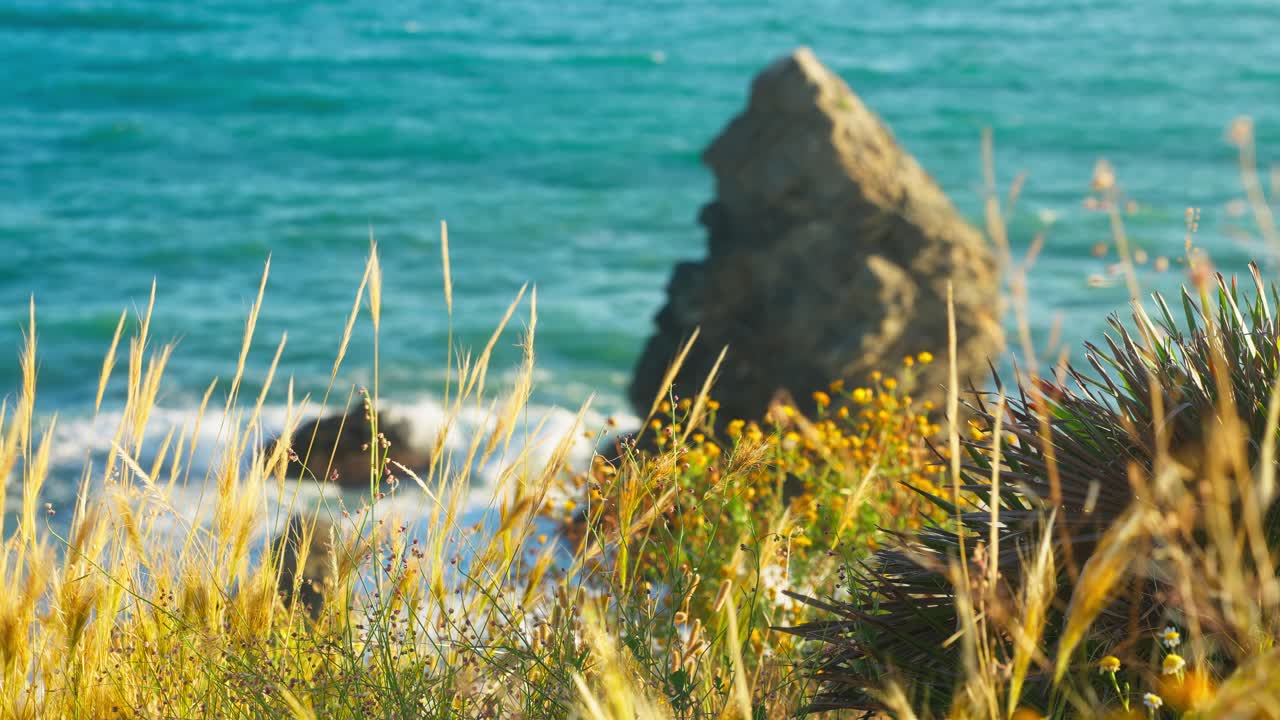 Focus shift between the grass on the foreground, rock and sea on the background