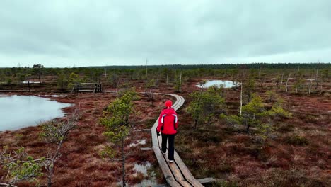 a sad woman walks alone on a wooden boardwalk in a swamp in spring, surrounded by frozen water and small pine trees