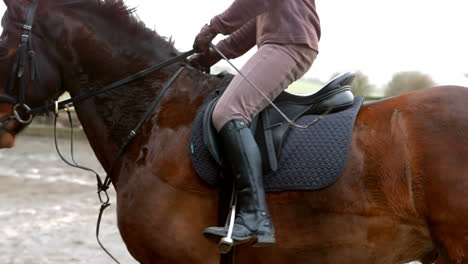 woman riding a horse outside