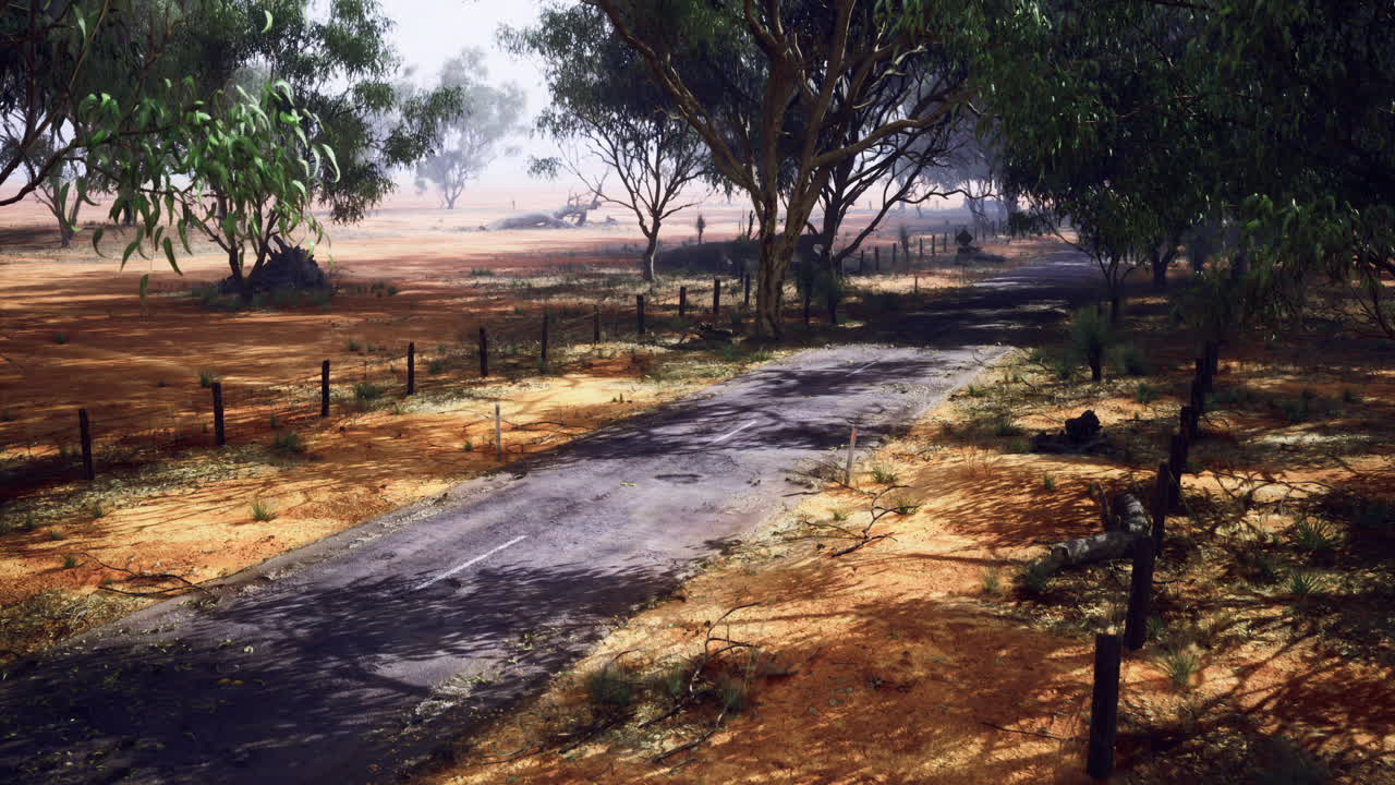 Deserted road surrounded by trees in arid landscape during daytime
