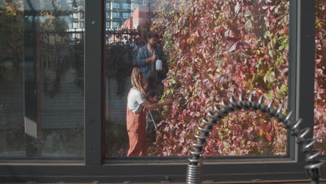 people taking care of plants