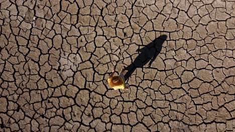 spinning aerial view, looking down on a girl lost and disoriented on a dry and cracked landscape