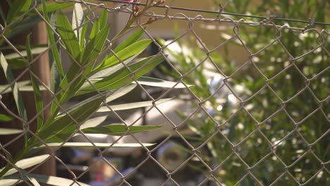 camera-slides-with-focus-on-a-fence-with-a-motorbike-in-the-background