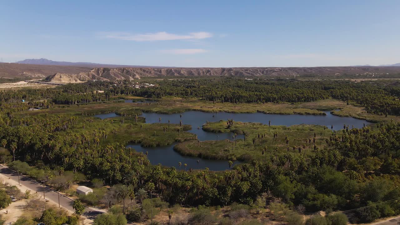 Aerial View of Oasis in Desert with Palm Trees and Mountains