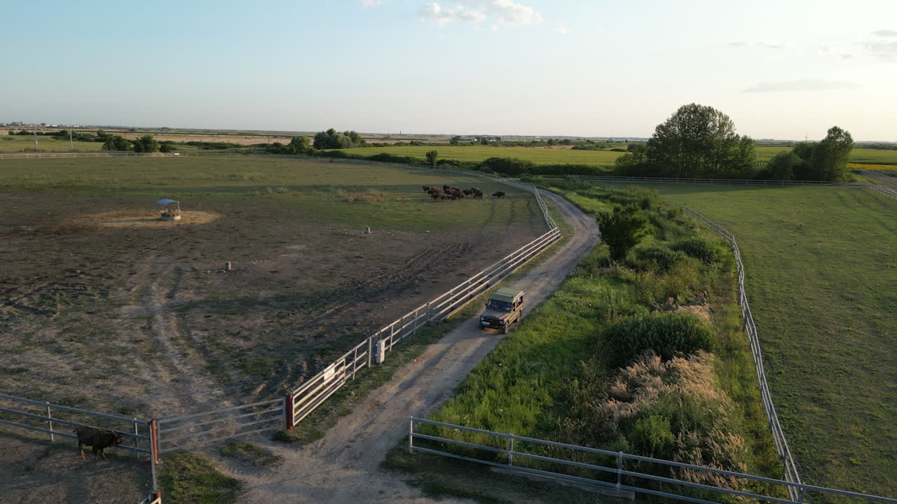 granja de bisontes en europa vista desde el aire