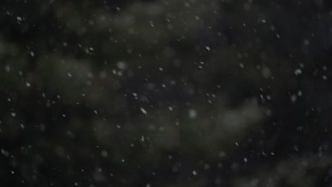 snowing background in slow motion