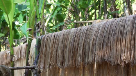 largas fibras de abaca colgando y secándose en palos de bambú en una pintoresca granja de la selva tropical en catanduanes, filipinas