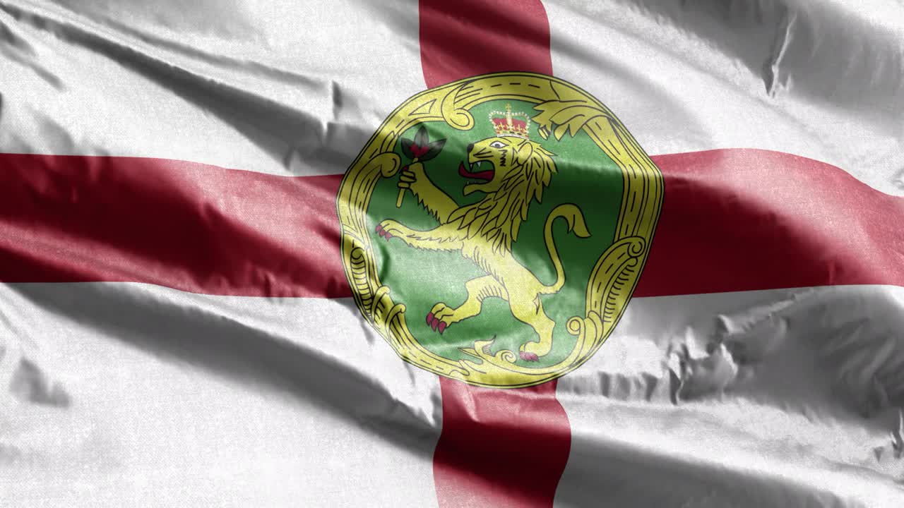 엘더니 섬유 발은 바람의 루프에 천천히 흔들리고 있으며, 엘더니 발이 부드럽게 바람에 흔들리고 있고, 직물 섬유 조직은 완전히 채우는 배경이며, 20 초 루프입니다.