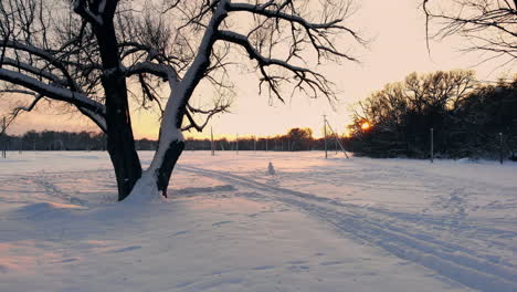 Vista-Superior-Del-Bosque-De-Invierno.-Estudio-Aéreo.