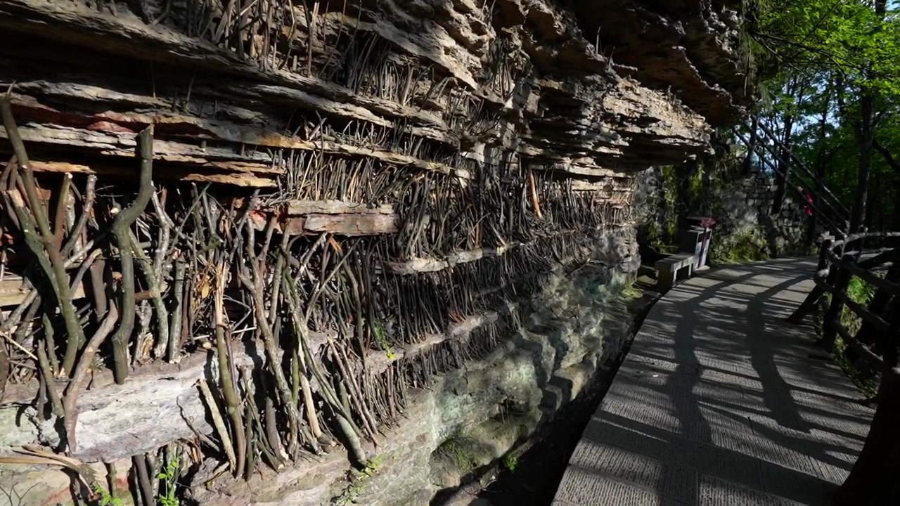 Sentiero che attraversa una formazione rocciosa unica a Zhangjiajie, provincia di Hunan, Cina