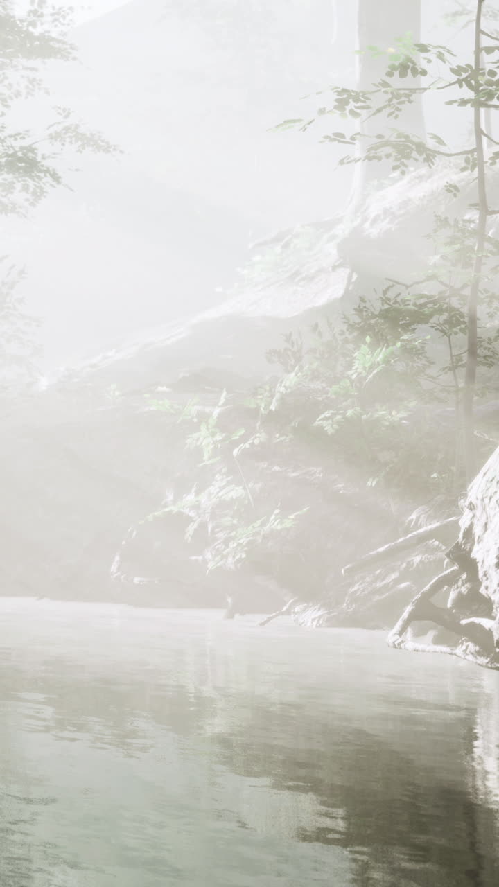 Morning light filters through mist in an enchanting forest landscape