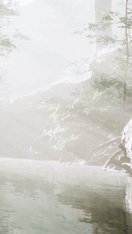 morning light filters through mist in an enchanting forest landscape