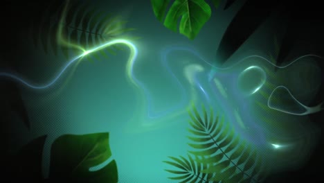 animation of multiple luscious tropical leaves of plants with trail of smoke