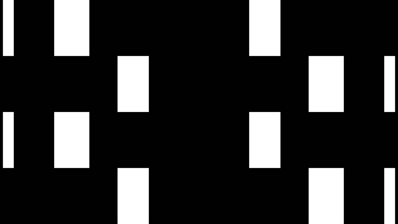 Black and White Graphic Bar Wipe Transition