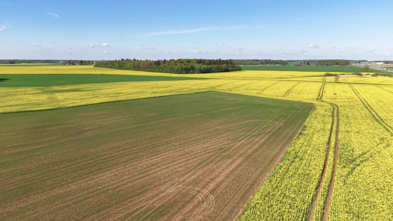 Umfassende Luftaufnahmen von weiten gelb blühenden Feldern und üppigem grünem Ackerland. Bei Tageslicht mit scharfen Details, Panorama-Komposition und einer ruhigen ländlichen Atmosphäre aufgenommen.