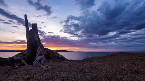 Schwenkzeitraffer-Des-Sonnenuntergangs-Mit-Einem-Alten-Baumstumpf-Im-Vordergrund-4k