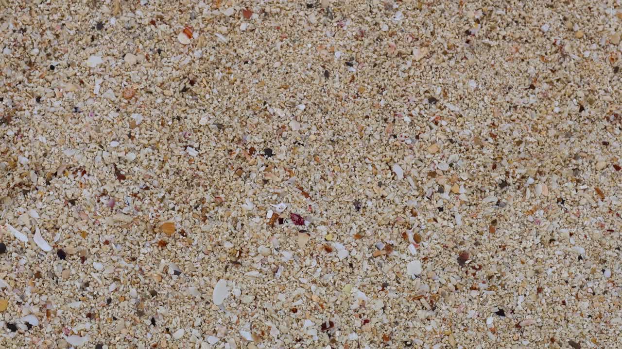 모래 해변 표면의 근접 시각