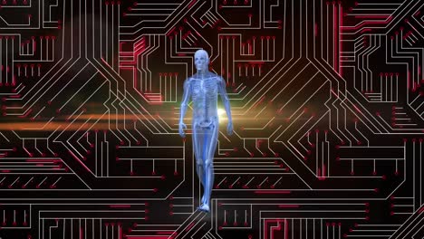 Animation-of-data-processing-and-human-body-model-over-dark-background