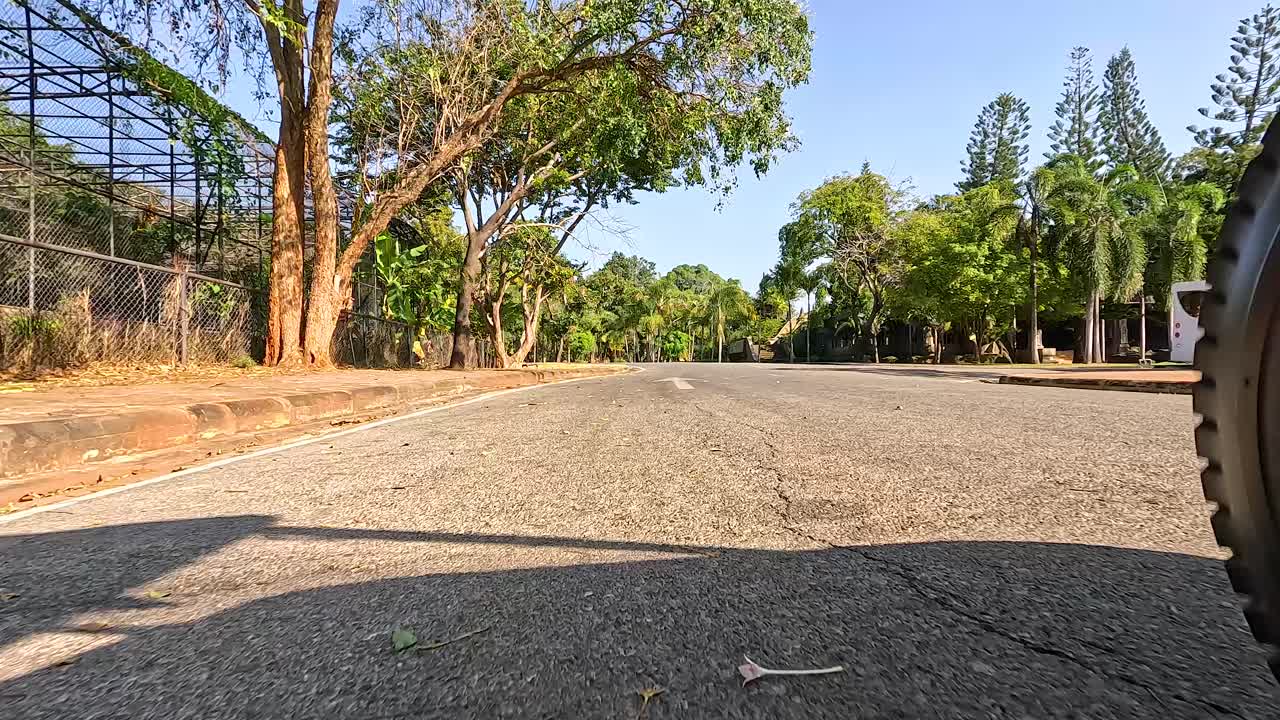 공원 도로 장면