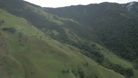 aerial panning drone fly above cocora valley colombian