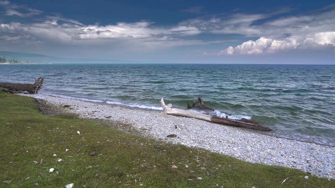 Legno spiaggiato sulla riva di un lago calmo