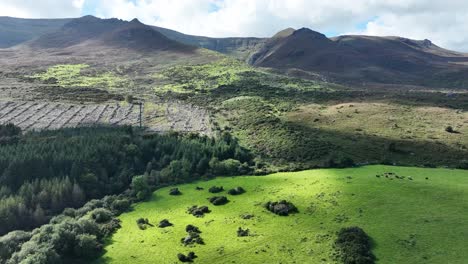 Montañas-Comeragh-Aérea-De-Los-Exuberantes-Prados-Bajo-La-Montaña-A-última-Hora-De-Un-Día-De-Verano.