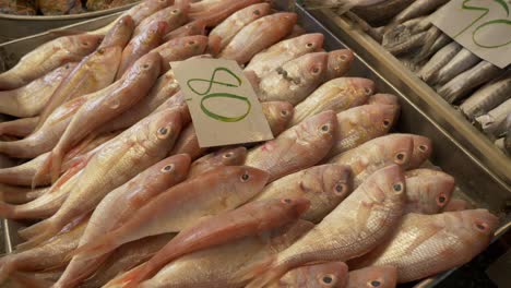 Pescado-Muerto-Rojo-Del-Océano-En-El-Mostrador-Del-Mercado-De-Pescado-Asiático-De-Tailandia-A-La-Venta