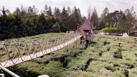 a rustic rope bridge connects treehouse to lush green maze, tall forest trees