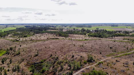 Die-Schöne-Landschaft-Von-Leśno,-Kreis-Chojnice-In-Nordpolen---Aus-Der-Luft