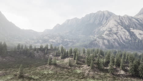 swiss alps with green alpine meadow on a hillside and surrounded by forests
