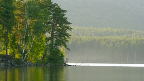 serene lakeside forest at dawn/dusk