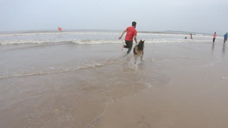 Hunde-Und-Ihre-Herrchen,-Die-Fröhlich-Am-Strand-Herumlaufen