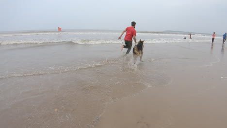 Perros-Y-Sus-Amos-Corriendo-Alegremente-En-La-Playa