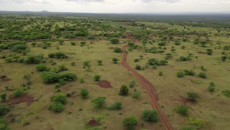 savanna dirt road, idyllic african landscape with kilimanjaro in distance, kenya