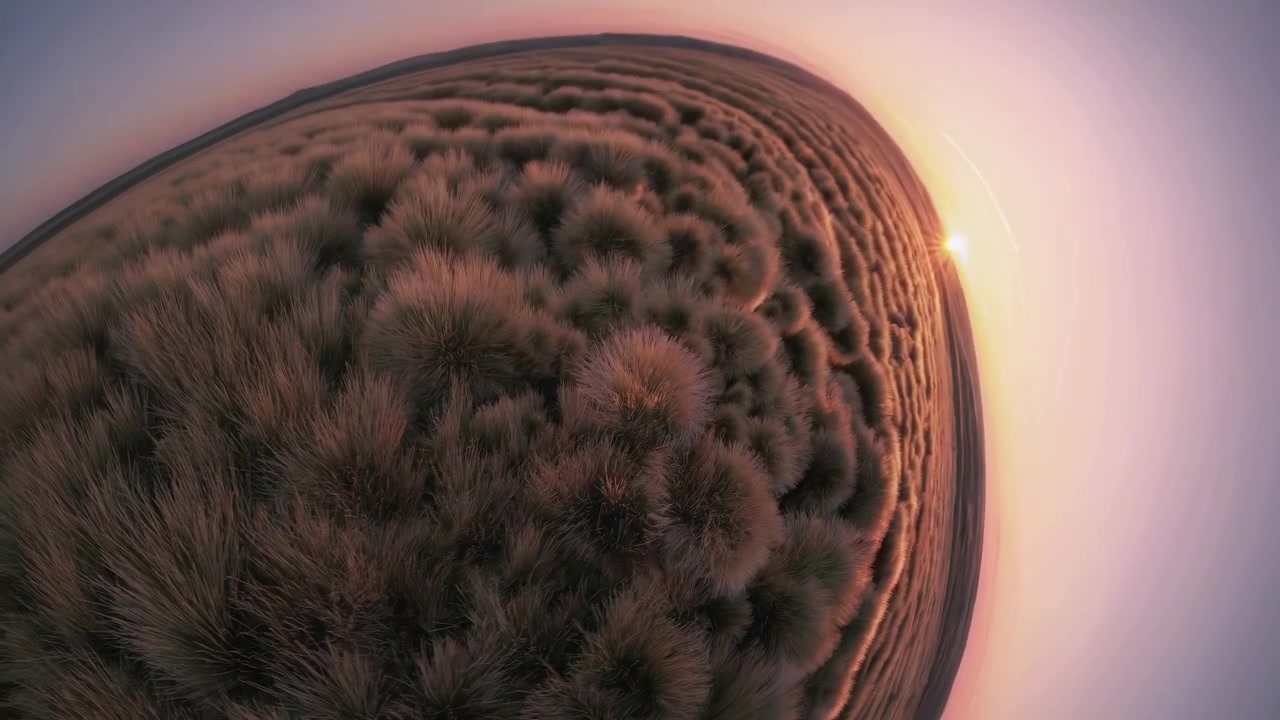 Vista aerea di un campo erboso al tramonto con obiettivo fisheye