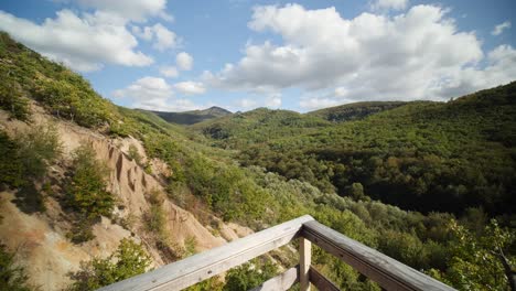 tiro de cardán suave de naturaleza 4k