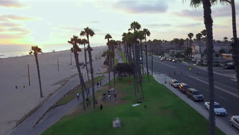 drone footage flying through palm trees, over a small park, on the beach at sunset